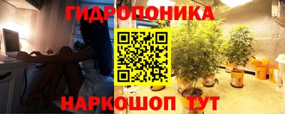 индика Гагарин