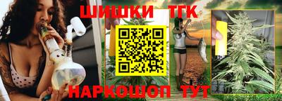 индика Гагарин