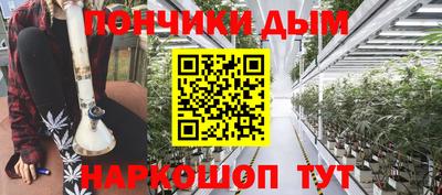 индика Гагарин