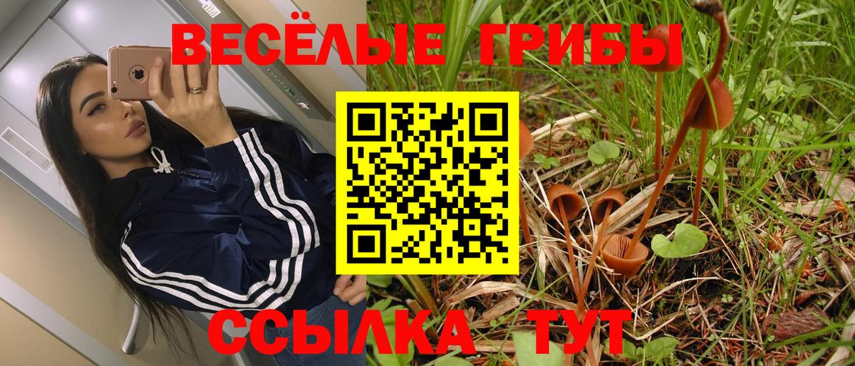 Карабулак  купить   Вход с VPN  Галлюциногенные грибы MAGIC MUSHROOMS 